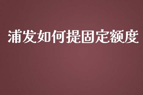 浦发如何提固定额度_https://www.fansifence.com_国际期货_第1张