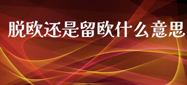 脱欧还是留欧什么意思_https://www.fansifence.com_恒指交易时间_第1张