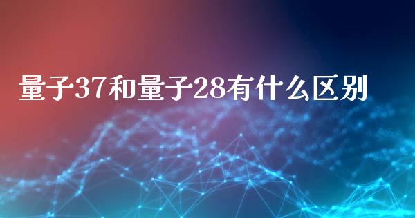 量子37和量子28有什么区别_https://www.fansifence.com_国际期货行情_第1张