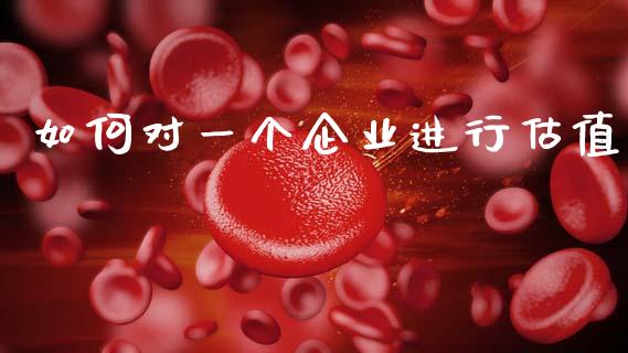 如何对一个企业进行估值_https://www.fansifence.com_中国国际期货_第1张