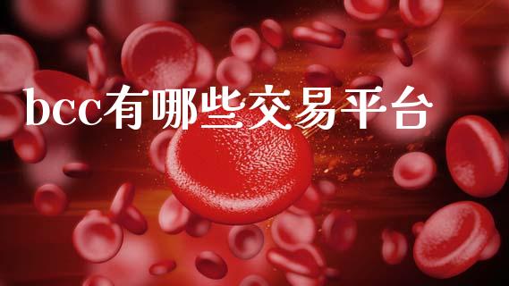 bcc有哪些交易平台_https://www.fansifence.com_恒指交易时间_第1张