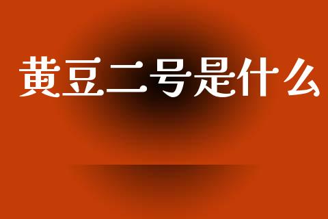 黄豆二号是什么_https://www.fansifence.com_中国国际期货_第1张