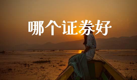 哪个证券好_https://www.fansifence.com_国际期货行情_第1张