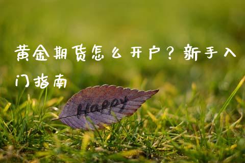 黄金期货怎么开户？新手入门指南_https://www.fansifence.com_中国国际期货_第1张