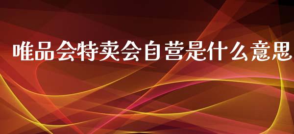 唯品会特卖会自营是什么意思_https://www.fansifence.com_国际期货行情_第1张