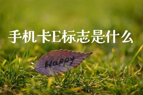 手机卡E标志是什么_https://www.fansifence.com_国际期货行情_第1张