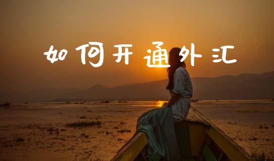 如何开通外汇_https://www.fansifence.com_中国国际期货_第1张