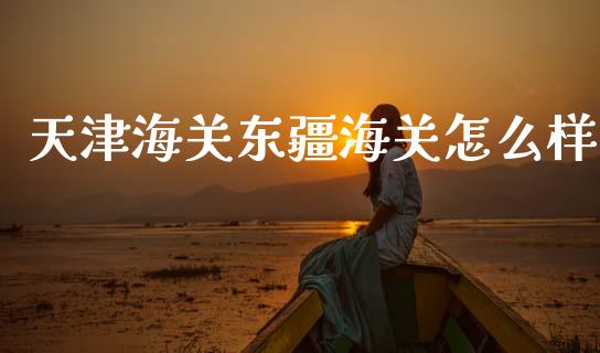 天津海关东疆海关怎么样_https://www.fansifence.com_国际期货_第1张