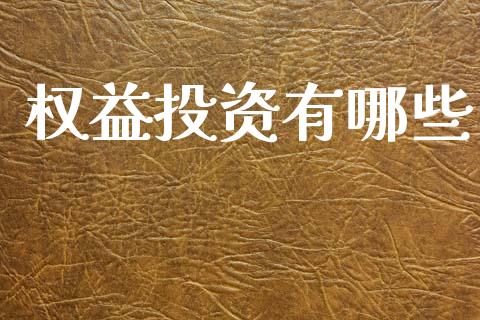 权益投资有哪些_https://www.fansifence.com_国际期货_第1张