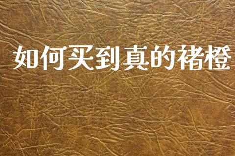 如何买到真的褚橙_https://www.fansifence.com_恒指交易时间_第1张