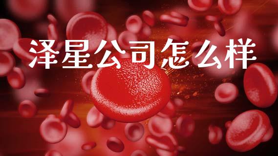 泽星公司怎么样_https://www.fansifence.com_恒指交易时间_第1张