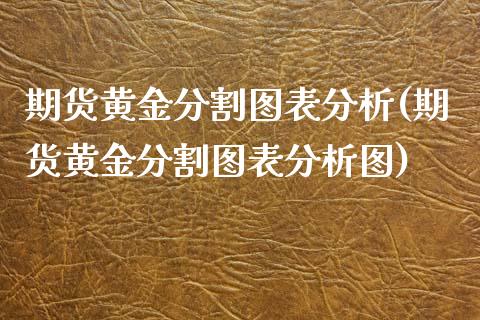 期货黄金分割图表分析(期货黄金分割图表分析图)_https://www.fansifence.com_恒指交易时间_第1张
