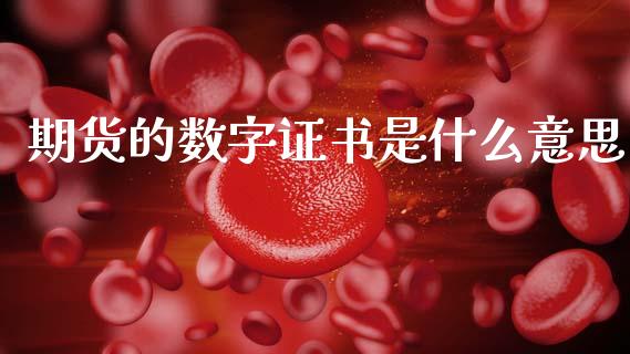 期货的数字证书是什么意思_https://www.fansifence.com_国际期货行情_第1张