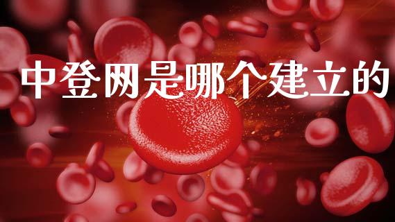 中登网是哪个建立的_https://www.fansifence.com_国际期货行情_第1张