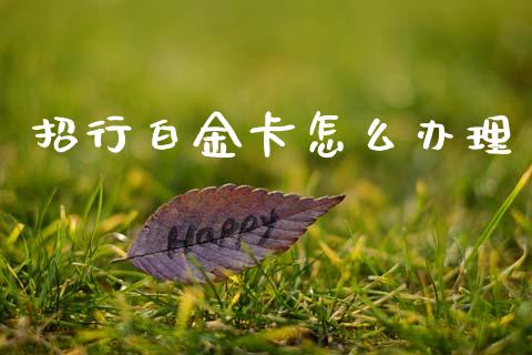 招行白金卡怎么办理_https://www.fansifence.com_中国国际期货_第1张
