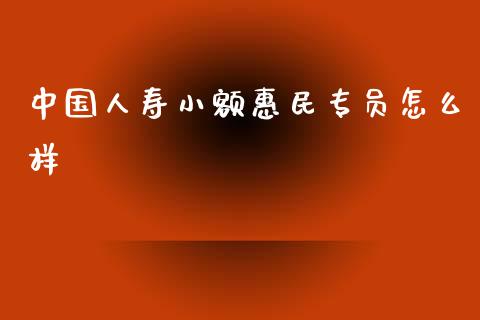 中国人寿小额惠民专员怎么样_https://www.fansifence.com_恒指交易时间_第1张
