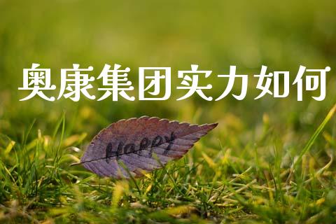 奥康集团实力如何_https://www.fansifence.com_国际期货_第1张