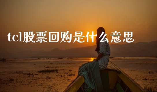 tcl股票回购是什么意思_https://www.fansifence.com_恒指交易时间_第1张