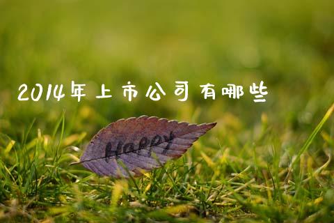 2014年上市公司有哪些_https://www.fansifence.com_国际期货_第1张