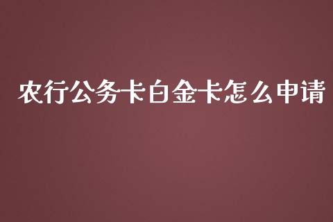 农行公务卡白金卡怎么申请_https://www.fansifence.com_中国国际期货_第1张