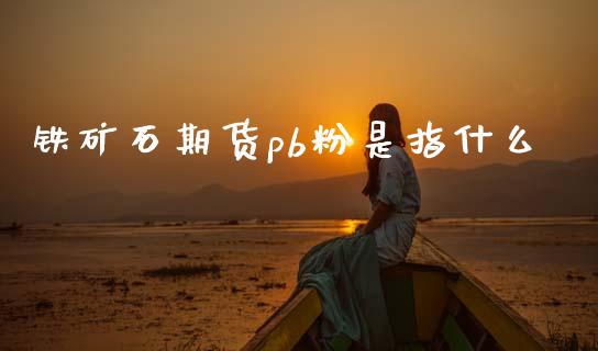铁矿石期货pb粉是指什么_国际期货行情_第1张_国际期货_中国国际期货_恒指交易时间_国际期货行情 铁矿石期货pb粉是指什么_https://www.fansifence.com_国际期货行情_第1张