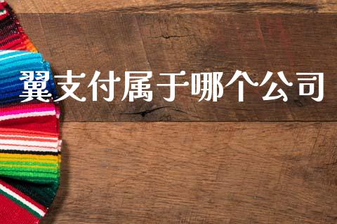 翼支付属于哪个公司_https://www.fansifence.com_恒指交易时间_第1张