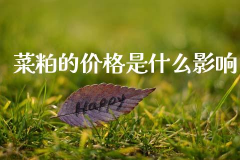 菜粕的价格是什么影响_中国国际期货_第1张_国际期货_中国国际期货_恒指交易时间_国际期货行情 菜粕的价格是什么影响_https://www.fansifence.com_中国国际期货_第1张