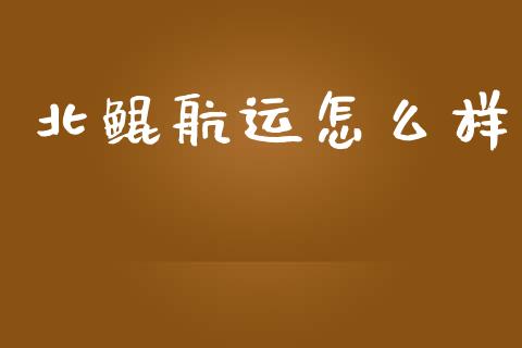北鲲航运怎么样_https://www.fansifence.com_中国国际期货_第1张