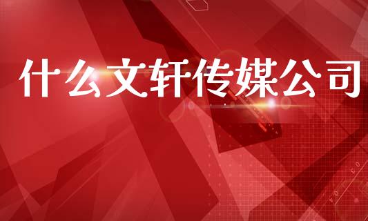 什么文轩传媒公司_https://www.fansifence.com_恒指交易时间_第1张