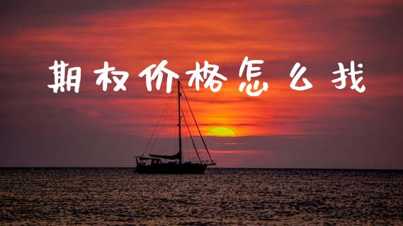期权价格怎么找_https://www.fansifence.com_恒指交易时间_第1张
