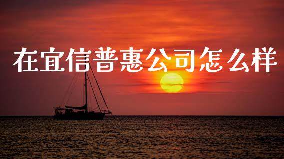 在宜信普惠公司怎么样_https://www.fansifence.com_国际期货_第1张