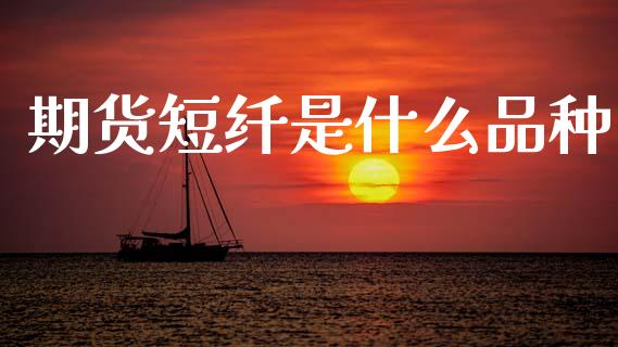 期货短纤是什么品种_国际期货行情_第1张_国际期货_中国国际期货_恒指交易时间_国际期货行情 期货短纤是什么品种_https://www.fansifence.com_国际期货行情_第1张