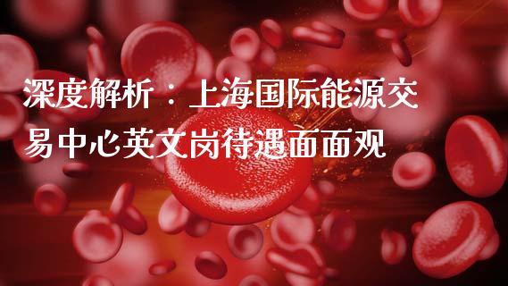 深度解析：上海国际能源交易中心英文岗待遇面面观_https://www.fansifence.com_中国国际期货_第1张