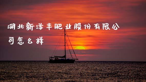 湖北新洋丰肥业股份有限公司怎么样_https://www.fansifence.com_中国国际期货_第1张