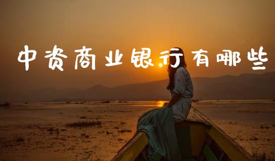 中资商业银行有哪些_https://www.fansifence.com_中国国际期货_第1张