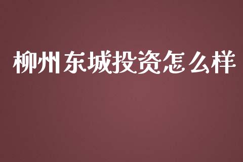 柳州东城投资怎么样_https://www.fansifence.com_国际期货行情_第1张