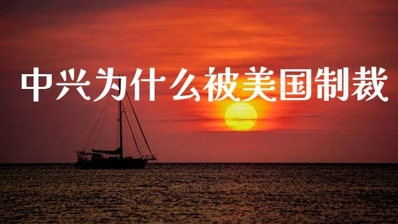 中兴为什么被美国制裁_https://www.fansifence.com_国际期货行情_第1张