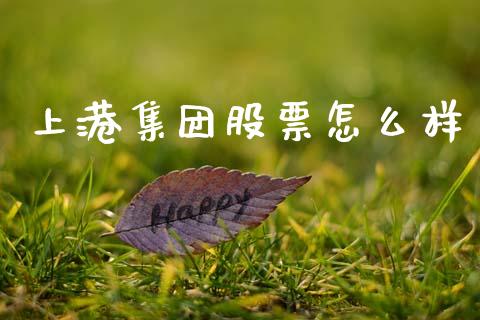 上港集团股票怎么样_https://www.fansifence.com_国际期货_第1张