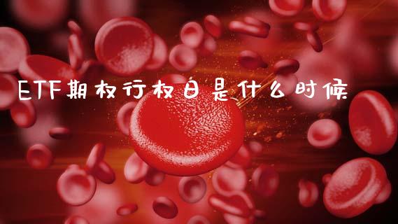 ETF期权行权日是什么时候_https://www.fansifence.com_国际期货_第1张