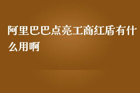 阿里巴巴点亮工商红盾有什么用啊_https://www.fansifence.com_恒指交易时间_第1张