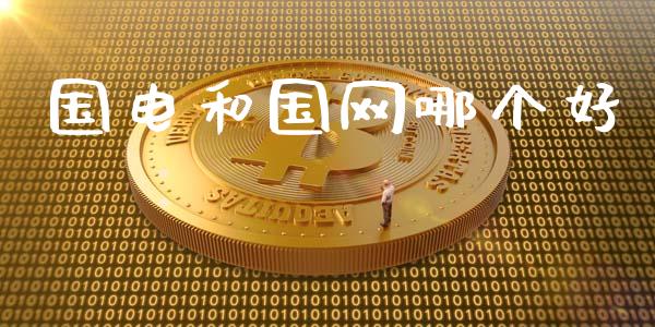 国电和国网哪个好_https://www.fansifence.com_国际期货行情_第1张