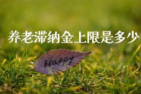 养老滞纳金上限是多少_https://www.fansifence.com_中国国际期货_第1张