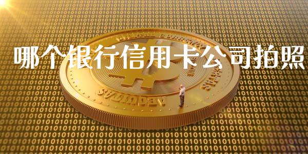 哪个银行信用卡公司拍照_https://www.fansifence.com_恒指交易时间_第1张