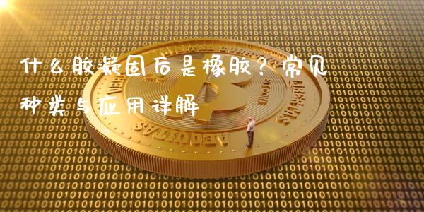 什么胶凝固后是橡胶？常见种类与应用详解_https://www.fansifence.com_恒指交易时间_第1张