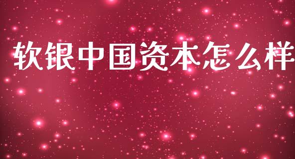 软银中国资本怎么样_https://www.fansifence.com_恒指交易时间_第1张