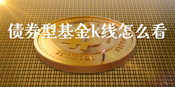 债券型基金k线怎么看_https://www.fansifence.com_中国国际期货_第1张
