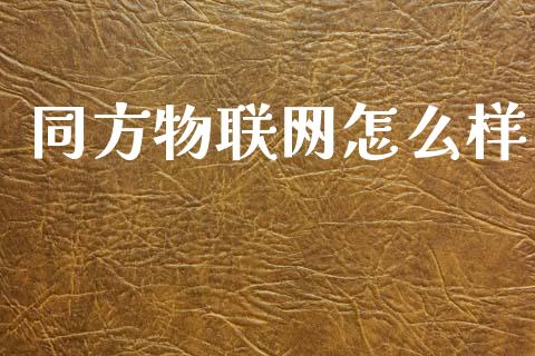 同方物联网怎么样_https://www.fansifence.com_中国国际期货_第1张