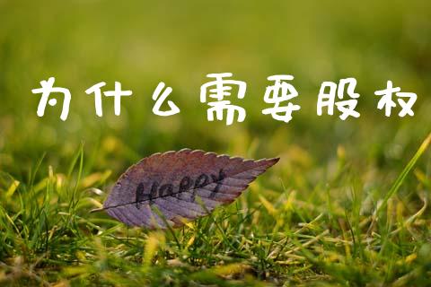为什么需要股权_https://www.fansifence.com_中国国际期货_第1张