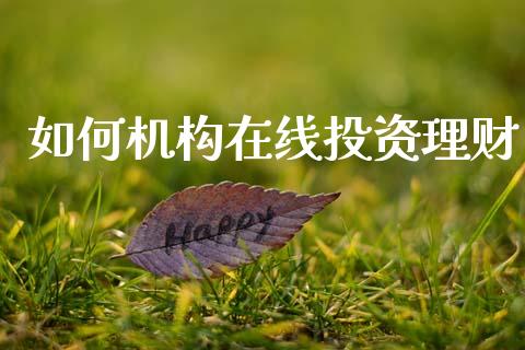 如何机构在线投资理财_https://www.fansifence.com_国际期货行情_第1张