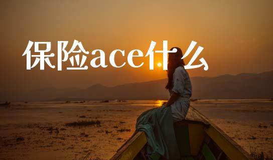 保险ace什么_https://www.fansifence.com_国际期货_第1张